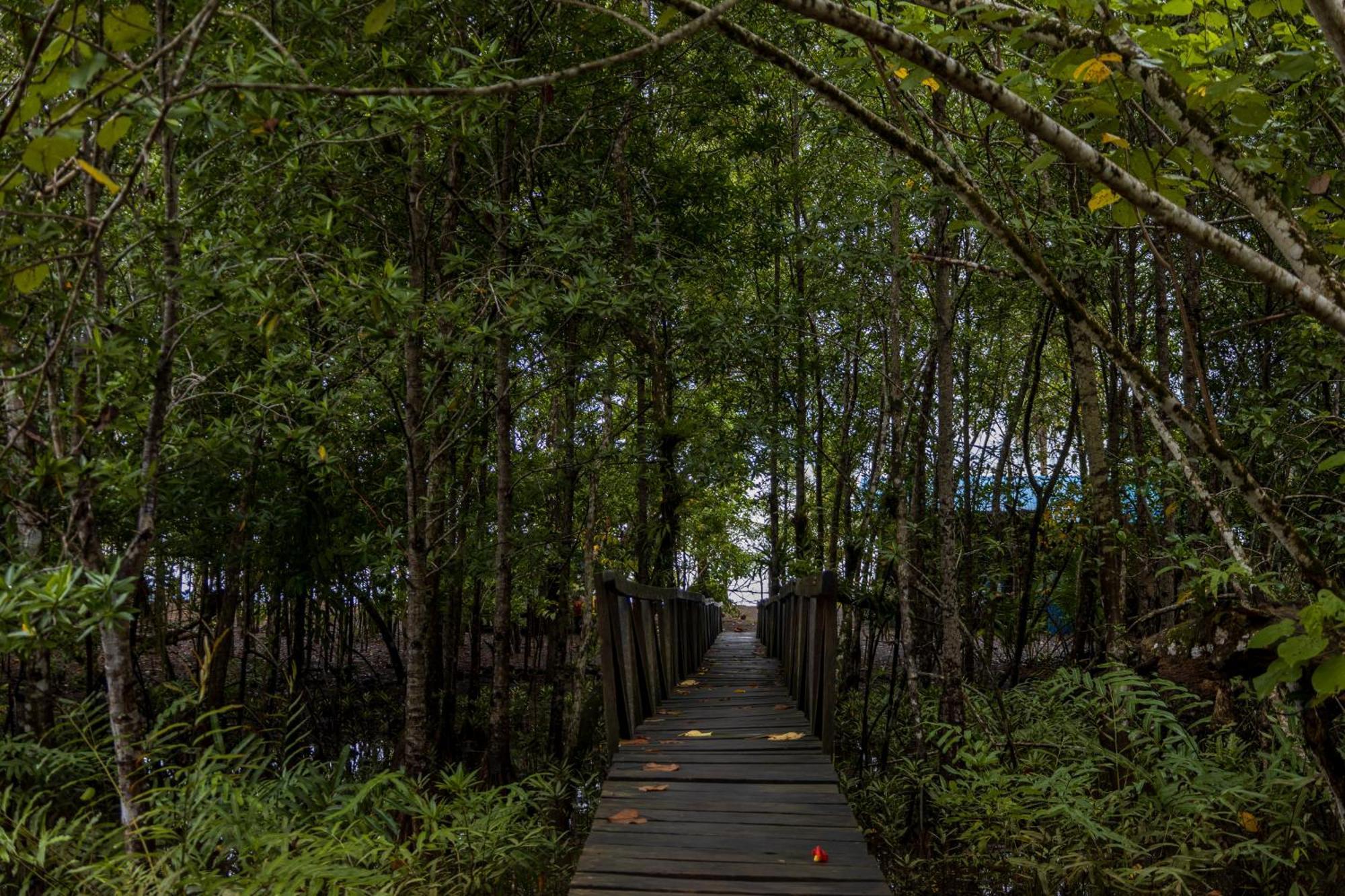 Jardin Botanico Del Pacifico Y Mecana Ecohotel Bahia Solano Esterno foto